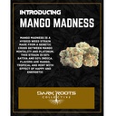 Mango Madness 2.jpg