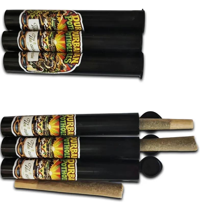 Durban Potholes 2d.webp