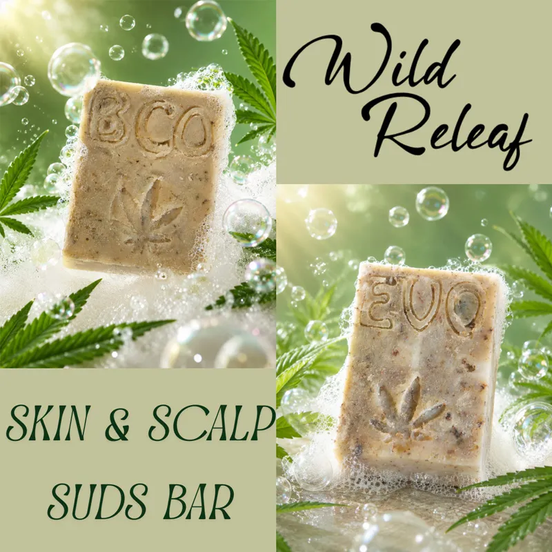 Suds Bars combined 1.webp